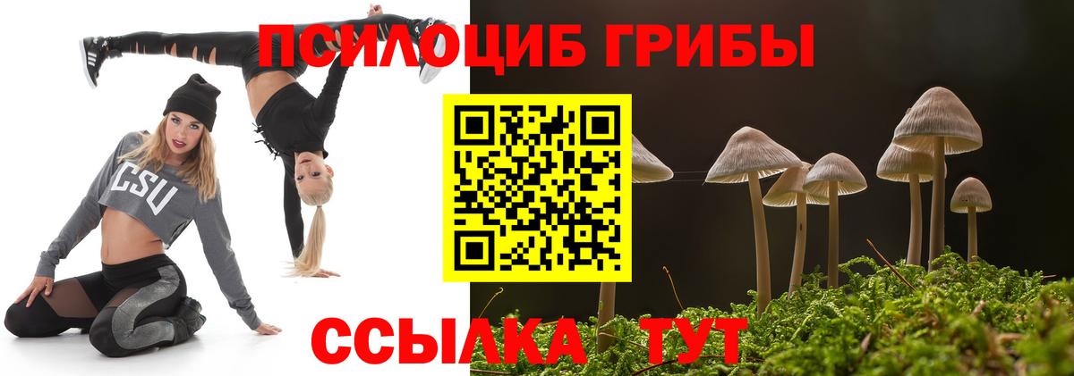 Псилоцибиновые грибы мухоморы  сколько стоит  Нарткала  Вход с VPN  Галлюциногенные грибы мицелий 